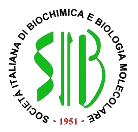 SIB Logo